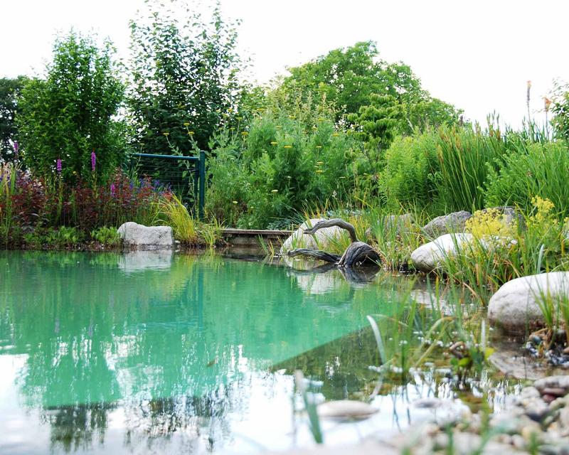 Blick über einen großen Schwimmteich mit üppiger Bepflanzung und großen Steinen