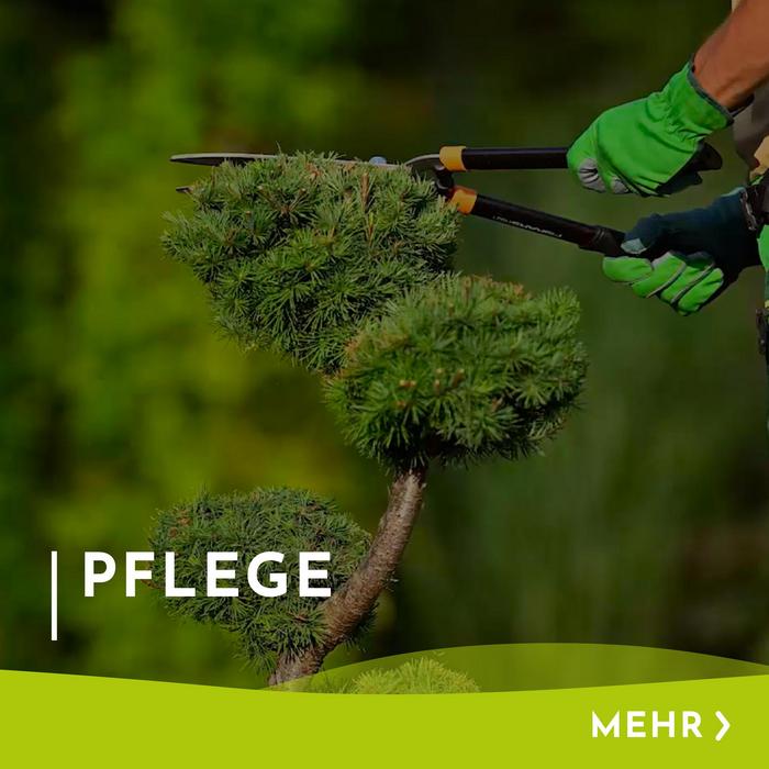 Menükachel mit Hinweis und Verlinkung zur Gartenpflege