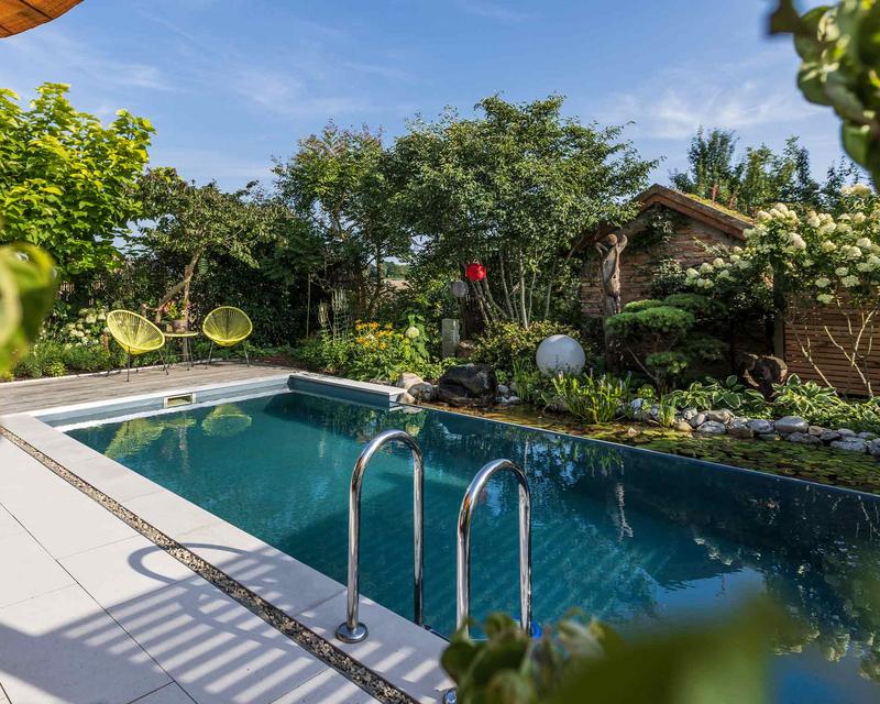 Bild eines Naturpools mit seitlichen Wasserpflanzen und Leiter ins hellblaue Wasser