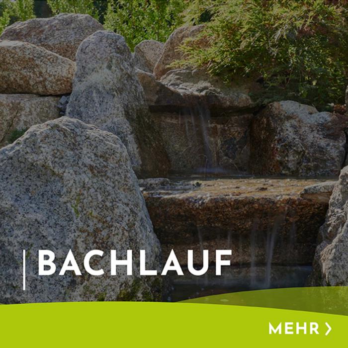 Menükachel mit Hinweis und Verlinkung zu Bachläufen