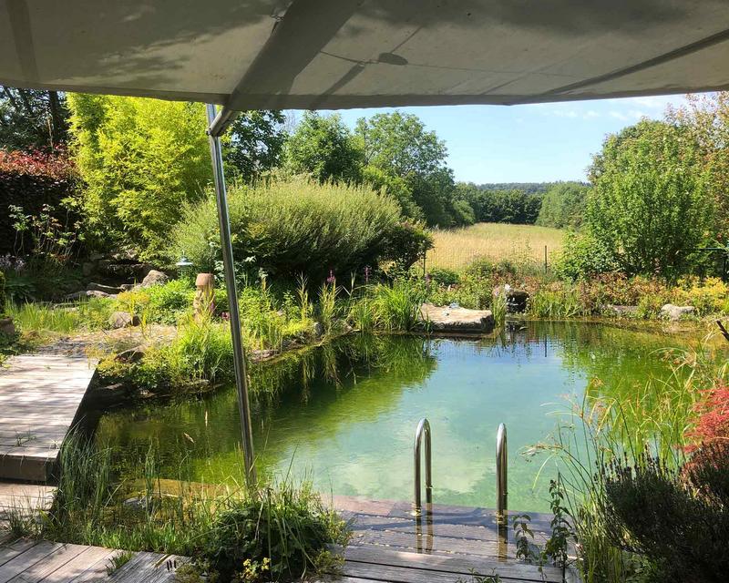 Schwimmteich mit üppiger Bepflanzung in und um das Waser