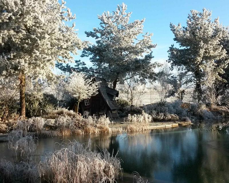 winterlicher großer Schwimmteich mit verschneiten Bäumen