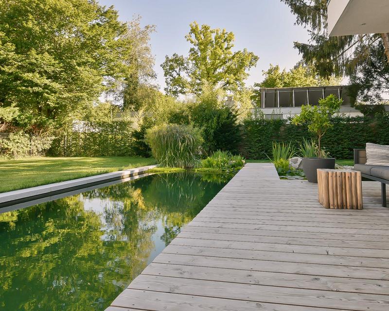 architektonisch, moderner Schwimmteich mit Holzterrasse 