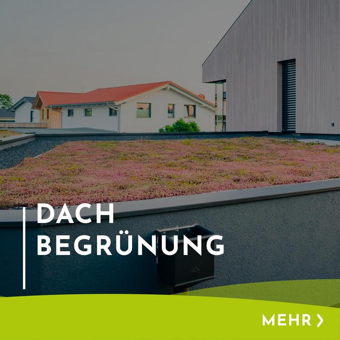 Menükachel mit Hinweis und Verlinkung zur Dachbegrünung
