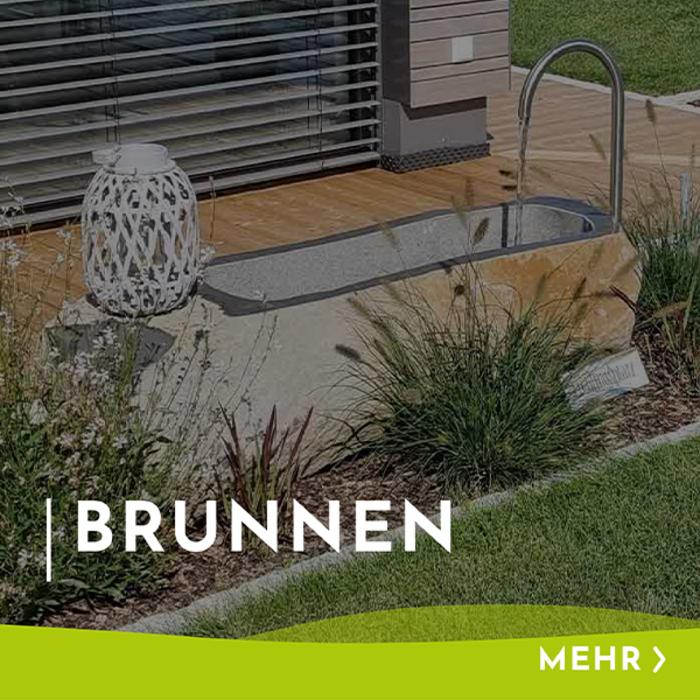 Menükachel mit Hinweis und Verlinkung zu Brunnen