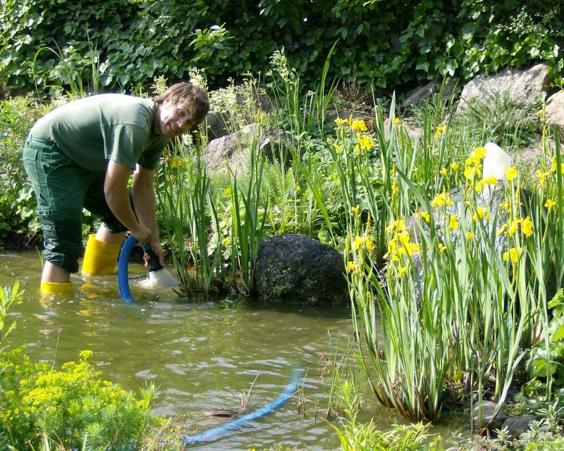 Mitarbeiter von Schmids Garten bei der Pflege eines Schwimmteichs