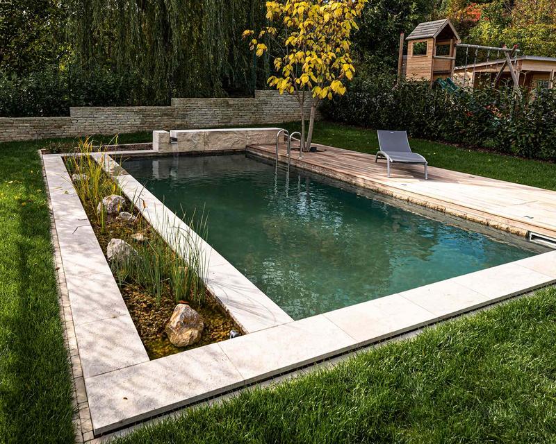 Bild eines Naturpools mit Wasserpflanzen