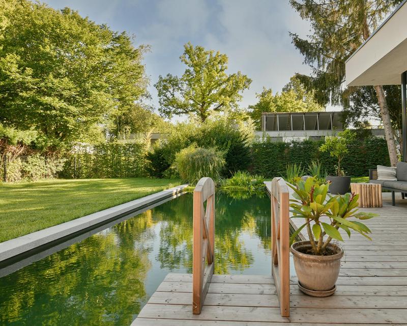 geradliniger, moderner Schwimmteich mit Holzterrasse und Leiter ins Wasser