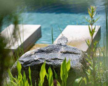 Detailaufnahme des Quellstein am Ufer des Naturpools