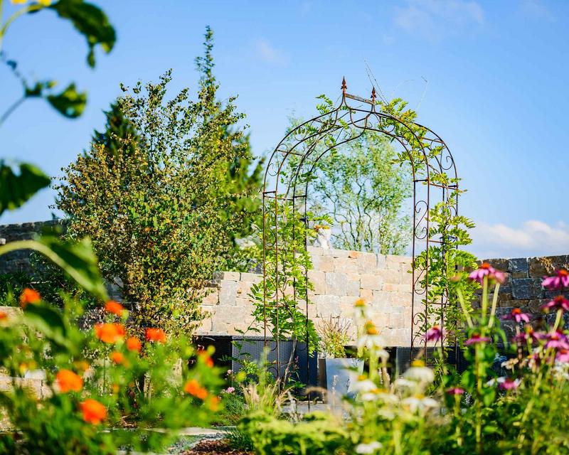 bunt bepflanzter Garten mit Rosenbogen und verschiedenfarbigen Blüten im Vordergrund