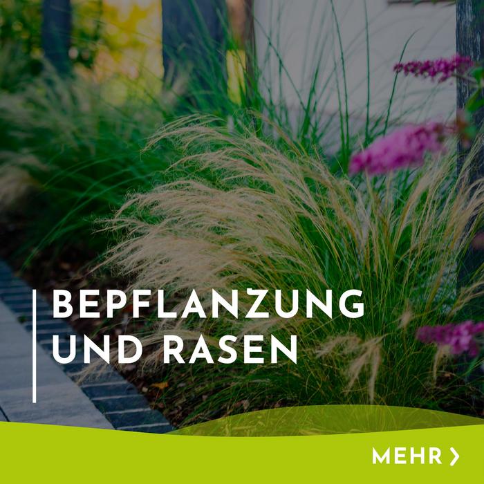 Menükachel mit Hinweis und Verlinkung zu Bepflanzung und Rasen