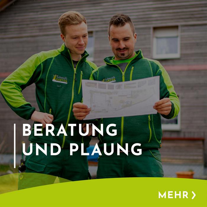 Menükachel mit Hinweis und Verlinkung zu Beratung und Planung